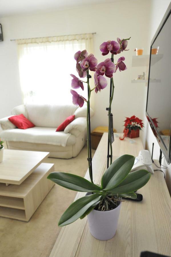 ספליט Vlatka Apartman מראה חיצוני תמונה